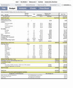 cost analysis spreadsheet template then preferred cost structure cost analysis spreadsheet template