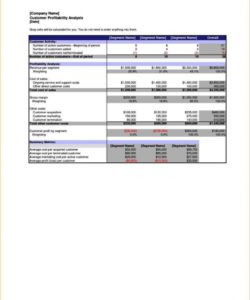 editable customer profitability analysis template  sampletemplatess customer profitability analysis template pdf