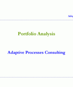 editable portfolio analysis template powerpoint portfolio analysis template pdf