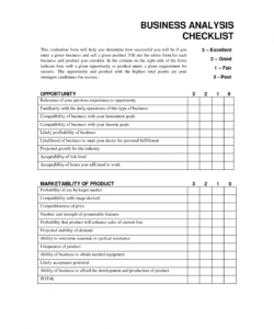 printable business analysis checklist  business analysis forms  business small business analysis template doc