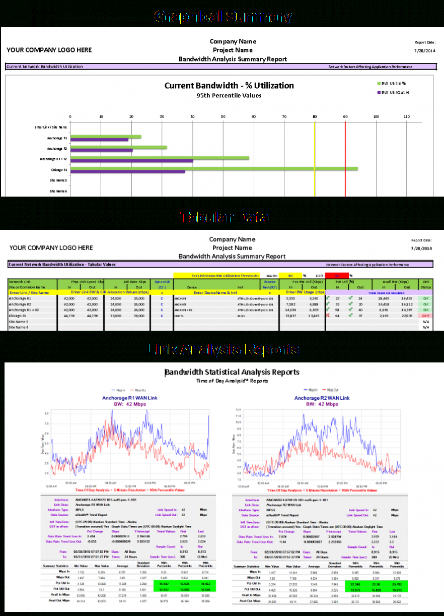 Statistical Analysis Report Template