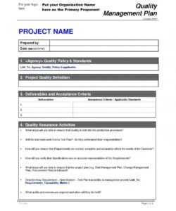 project manager requirements