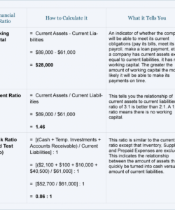 editable balance sheet ratio analysis  diclestickenco financial ratio analysis template doc