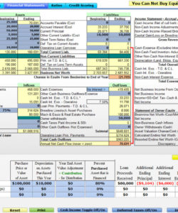 financial &amp;amp; risk management analysis  farm management software financial ratio analysis excel template example