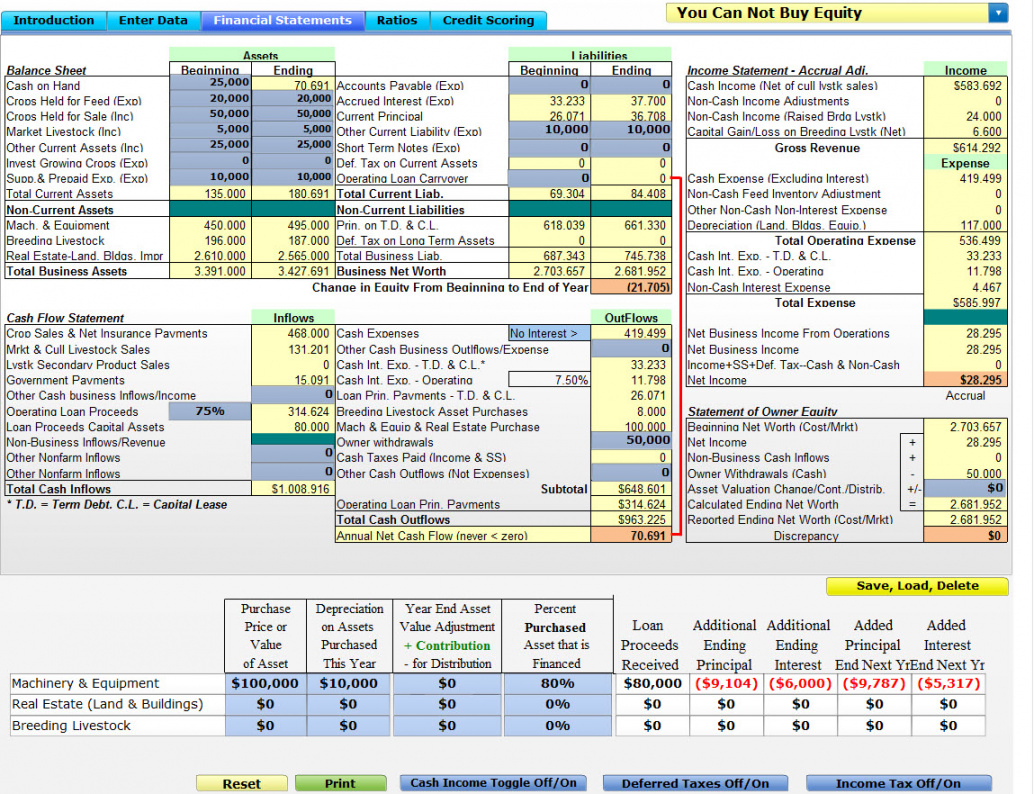 financial &amp;amp; risk management analysis  farm management software financial ratio analysis excel template example