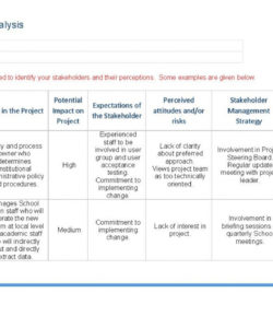 printable stakeholder analysis template  ape stakeholder analysis template project management