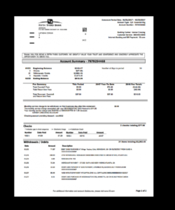 bank statement fifth third template proof of income proof of deposit template word