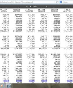 editable special report virginia spca fails to provide heatstroke animal rescue budget template sample