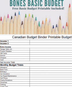 printable how to use a bare bones basic budget free printable bare bones budget template word