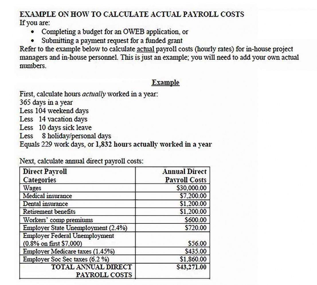 printable payroll budget template  culturopedia employer payroll budget template