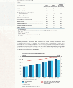 editable republic of south africa 2018 annual report for foreign money gazette budget template pdf