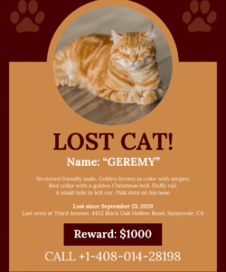 free brown missing cat poster template lost cat template flyer doc