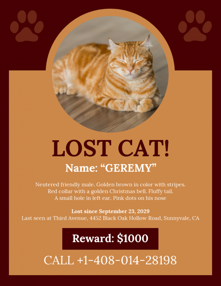 Lost Cat Flyer Template Free Printable