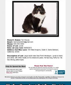 free find lost cat  the 1 lost &amp;amp; found cat website in america lost cat template flyer