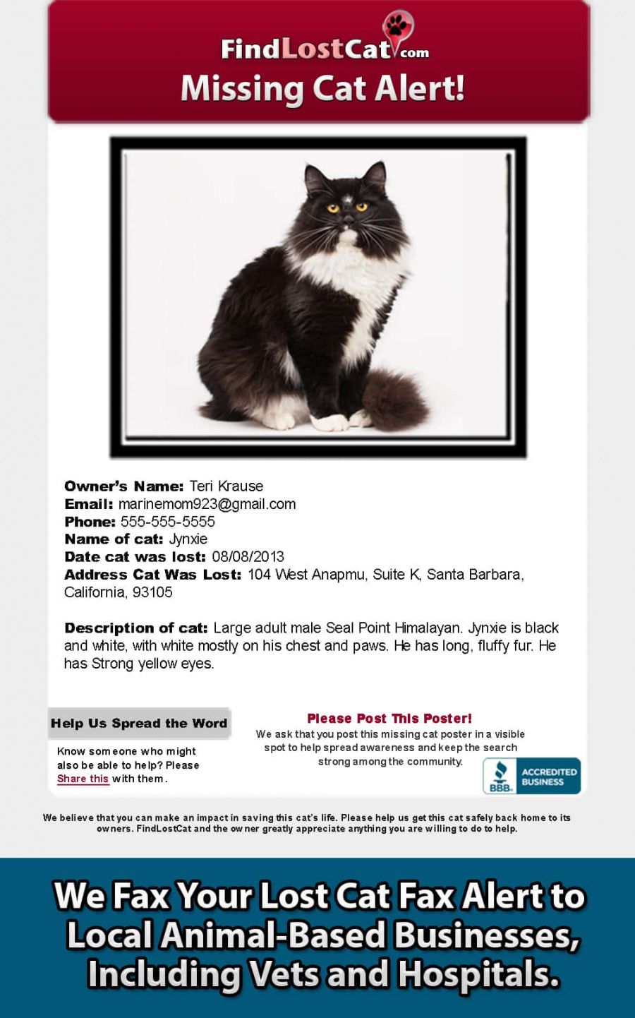 free find lost cat  the 1 lost &amp;amp; found cat website in america lost cat template flyer