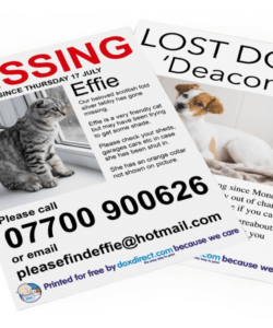 free missing pet posters  doxdirect lost cat template flyer