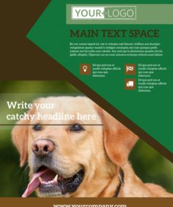 pet kennels flyer template  mycreativeshop dog sitting flyer template pdf