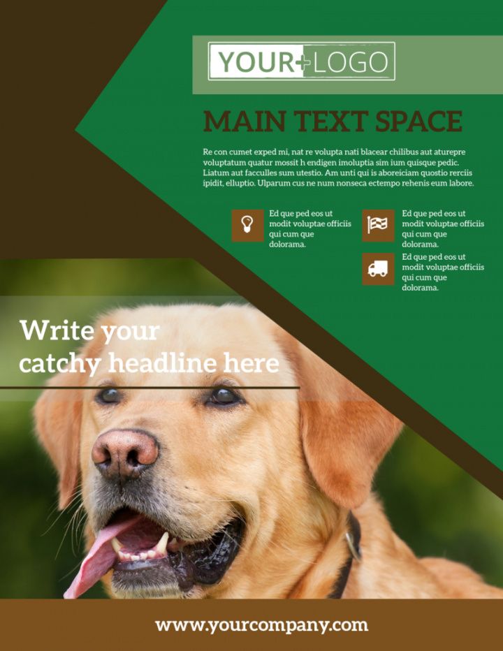 pet kennels flyer template  mycreativeshop dog sitting flyer template pdf