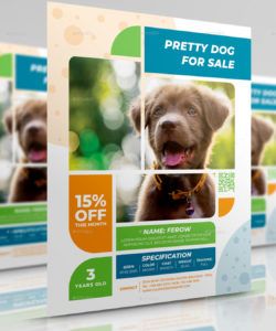 pets for sale flyer template puppies for sale flyer template