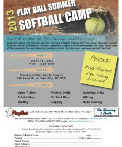 series of softball camp flyers  cat softball fundraiser flyer template pdf