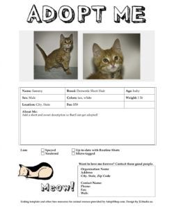 adoption listing templates adopt a pet flyer template doc