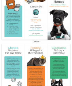 animal rescue tri fold brochure template adopt a pet flyer template pdf