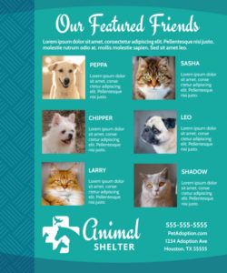 animal shelter &amp;amp; pet adoption flyer template adopt a pet flyer template and sample