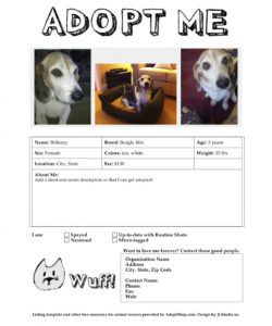 free adoption listing templates adopt a pet flyer template pdf