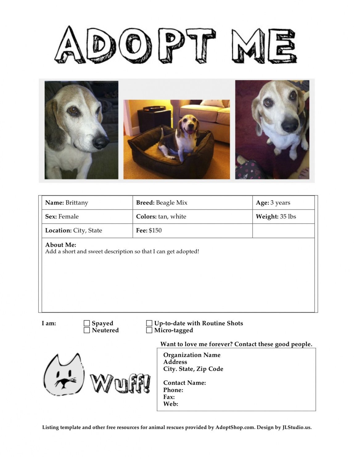 Free Adoption Listing Templates Adopt A Pet Flyer Template PDF