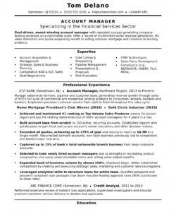 account manager resume sample  monster national account manager job description template and sample