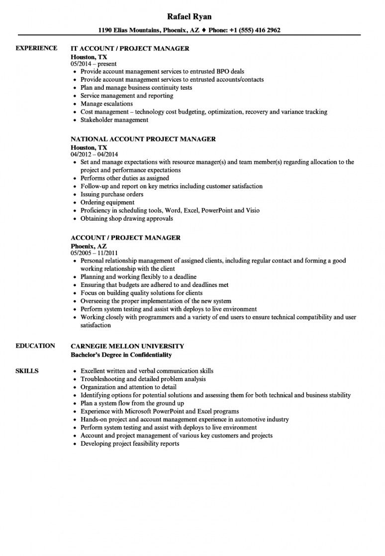 Account Project Manager Resume Samples Velvet Jobs National Account 