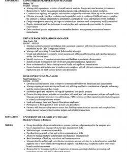 bank operations manager resume samples  velvet jobs operations director job description template pdf
