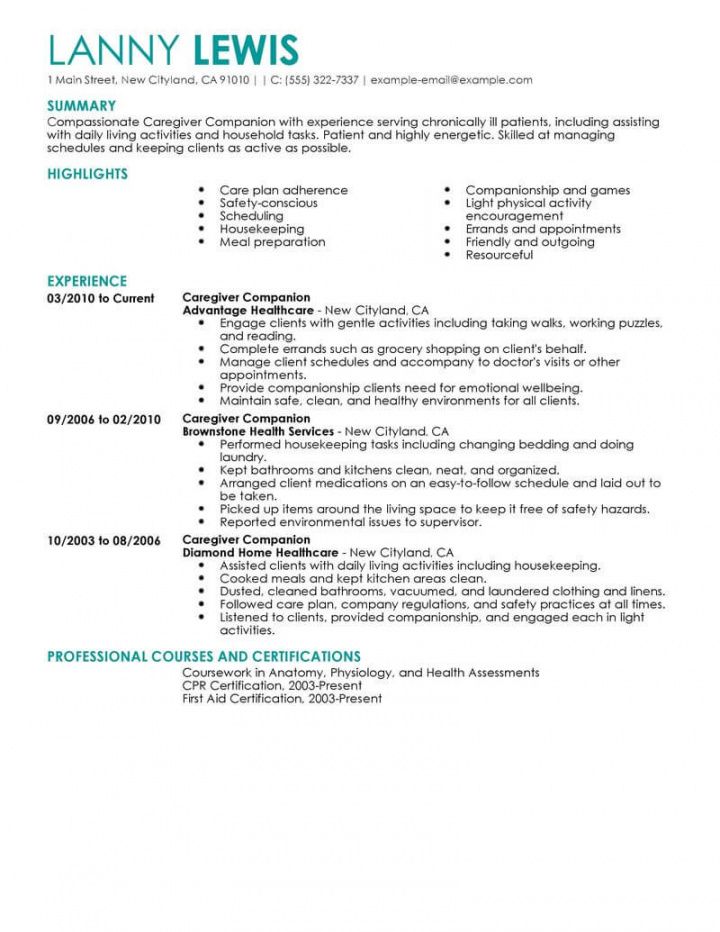best caregivers companions resume example  livecareer caregiver job description template pdf