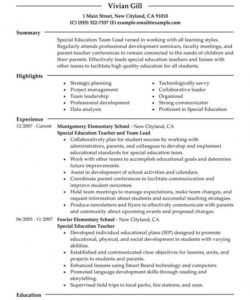 free best team lead resume example  livecareer team leader job description template pdf