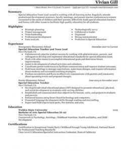 free best team lead resume example  livecareer team leader job description template pdf