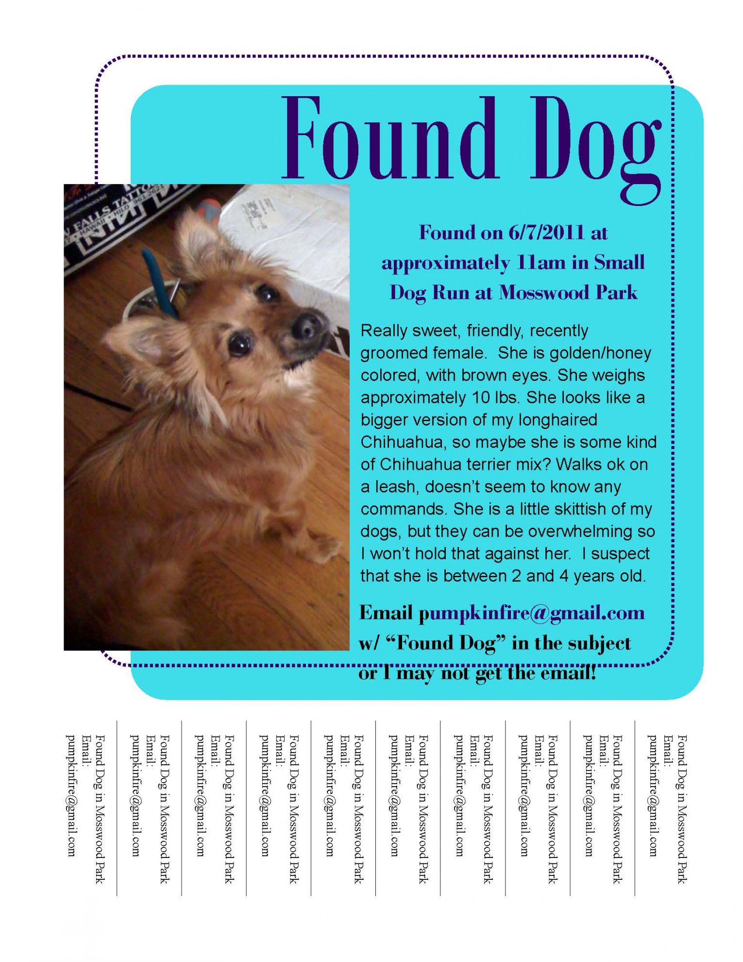 Found Dog Flyer Template