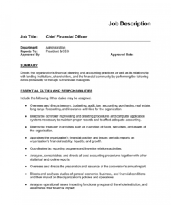 free job description example for cfo template  by businessinabox™ simple job description template