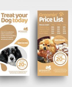 free pet service templates pack  psd ai &amp;amp; vector pet care flyer template pdf