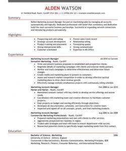 free professional account manager resume examples  marketing national account manager job description template doc