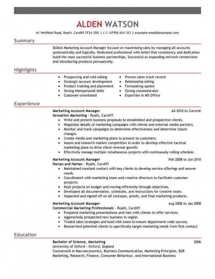 Free Professional Account Manager Resume Examples ...