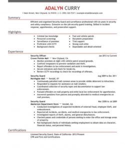 free professional security guard resume examples  safety security officer job description template pdf