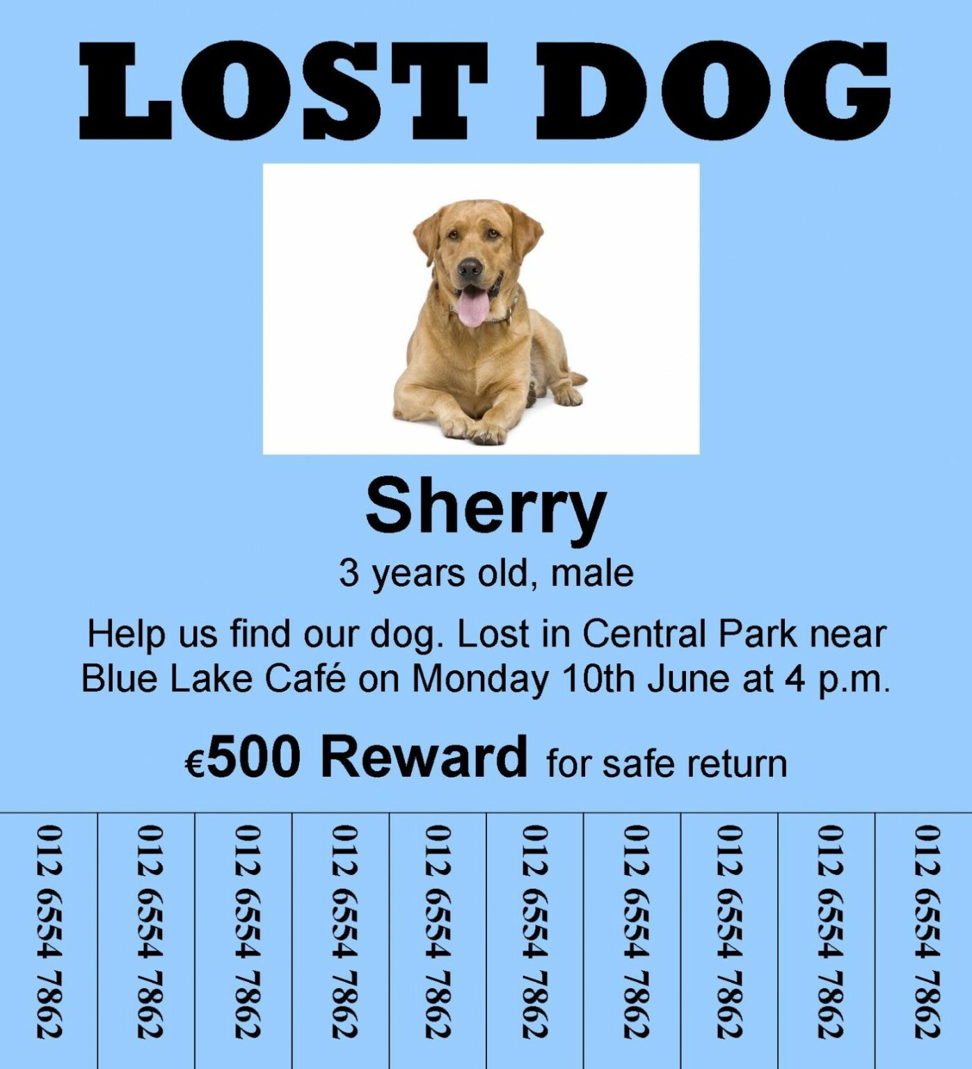 Free Reading A Lost Dog A2 Educateninja Found Dog Flyer Template