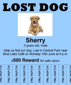 free reading a lost dog a2  educateninja found dog flyer template