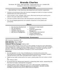 free sales director resume sample  monster sales director job description template doc
