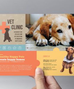 free vet clinic flyer template in psd ai &amp;amp; vector  brandpacks pet care flyer template and sample