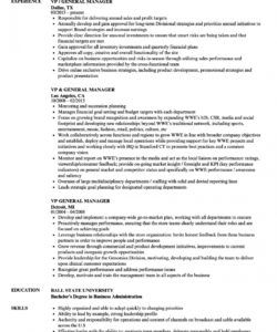 free vp  general manager resume samples  velvet jobs general manager job description template