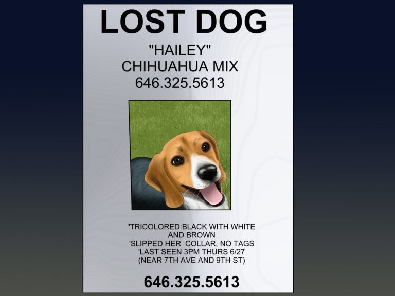 Lost Dog Flyer Template