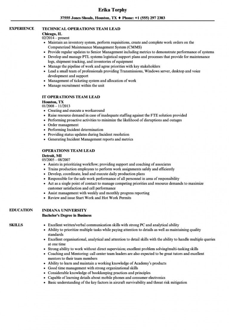 Operations Team Lead Resume Samples Velvet Jobs Team