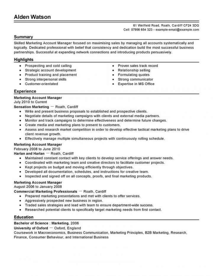 professional account manager resume examples  marketing national account manager job description template