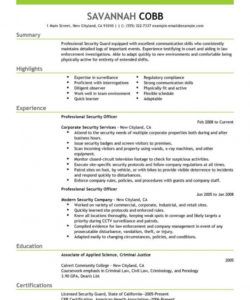 professional security officer resume examples  safety security officer job description template